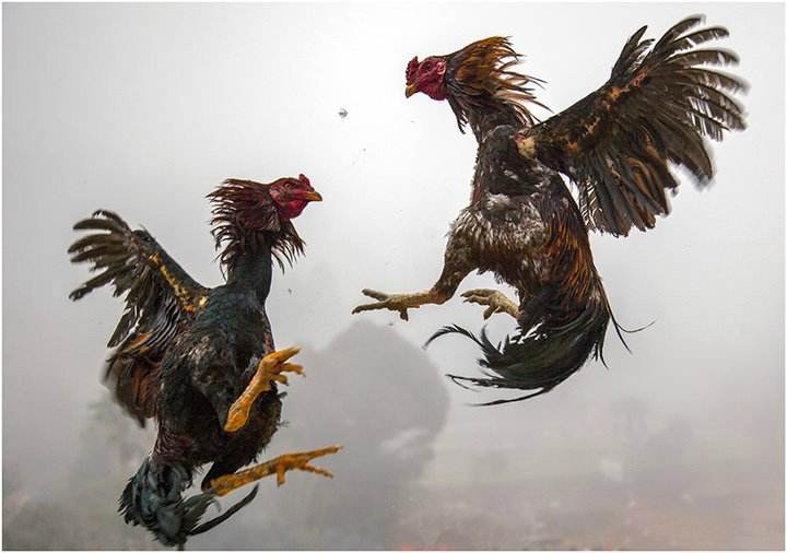 唐朝男人的日常,唐代生活