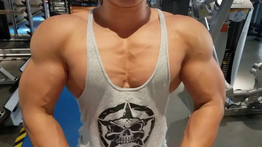 不可多得的科学健身教程胸部训练,新手健身从胸部开始练