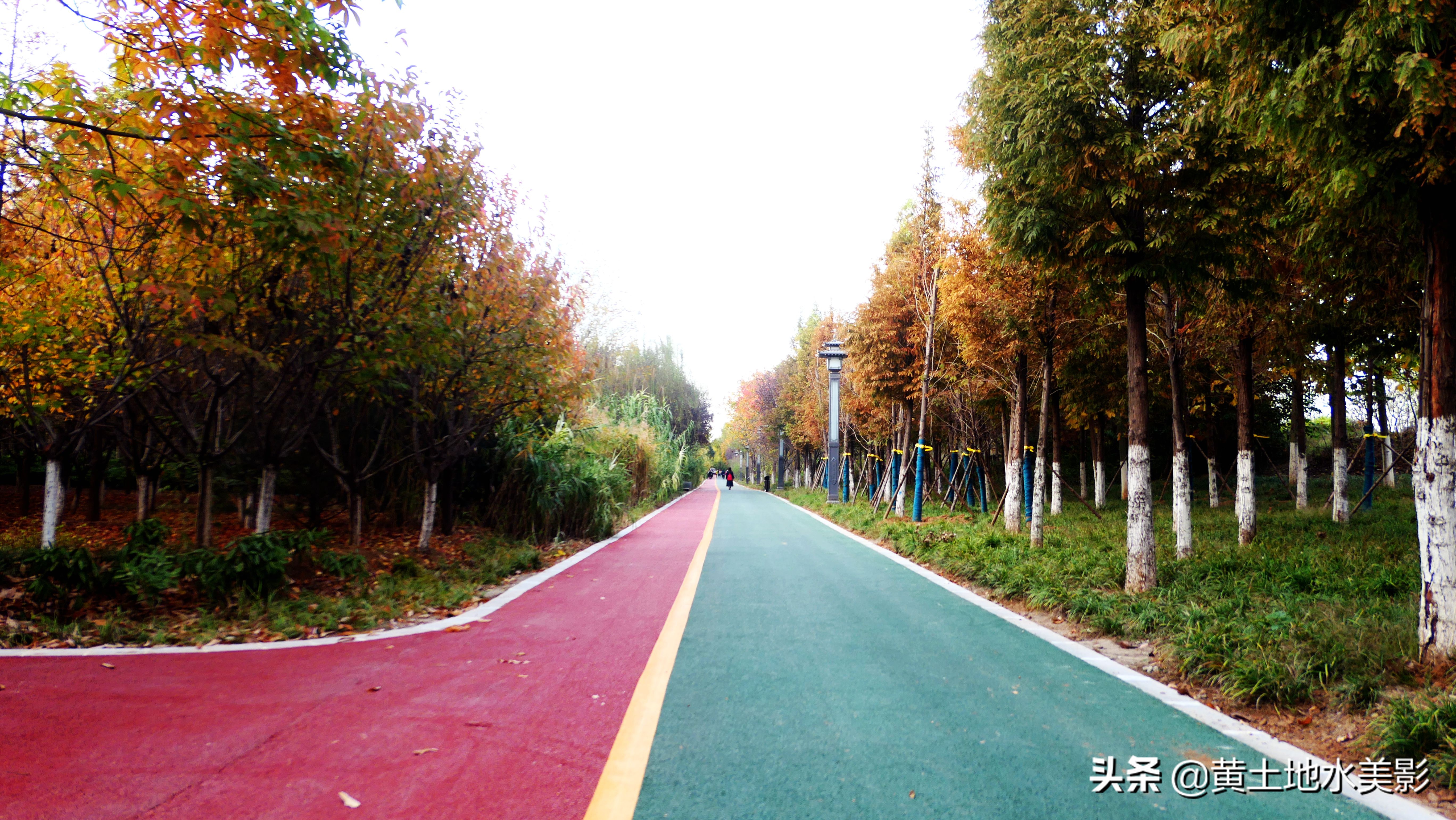 占地590亩的湿地公园,野生动物比较多的旅游景区