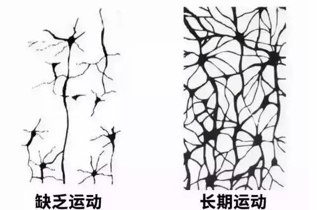 高考状元体育加分,体育高考状元第一名