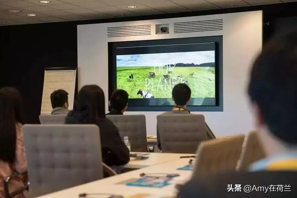 荷兰牛栏白金版分段,荷兰牛栏和荷兰牛栏白金版的区别