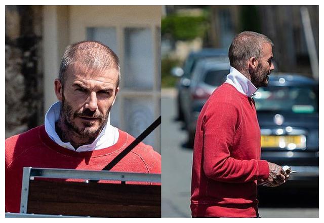 贝克汉姆小七奶娃,七公主出门不用走路