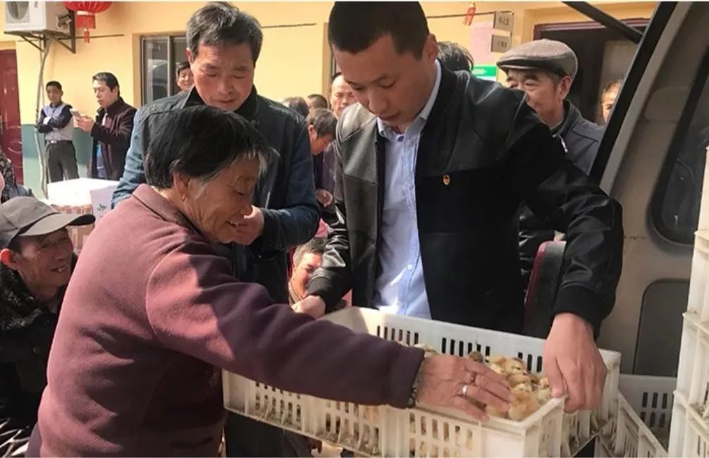 90后小伙卖鸡年入百万,农村90后创业养鸡