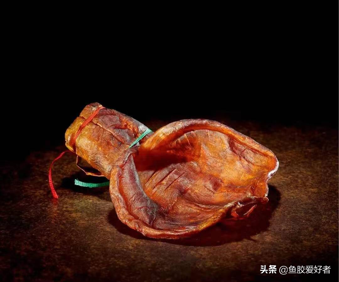 鱼胶是不是越大越厚营养越好,鱼胶正确的选择方法