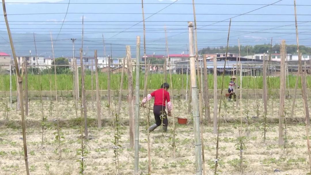 长泰的发展趋势,长泰发展前景怎么样