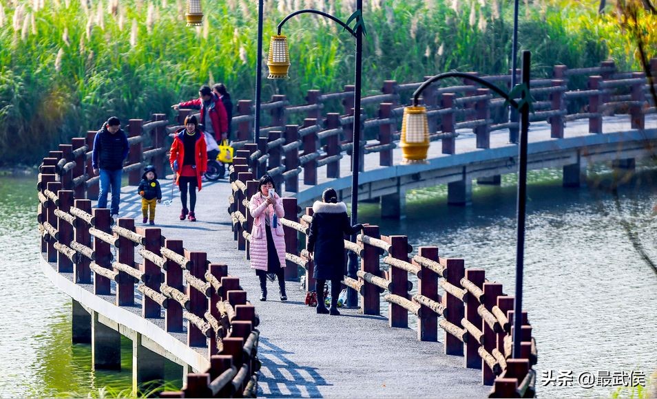 3月底天府绿道哪段最美,天府绿道彩色油菜花