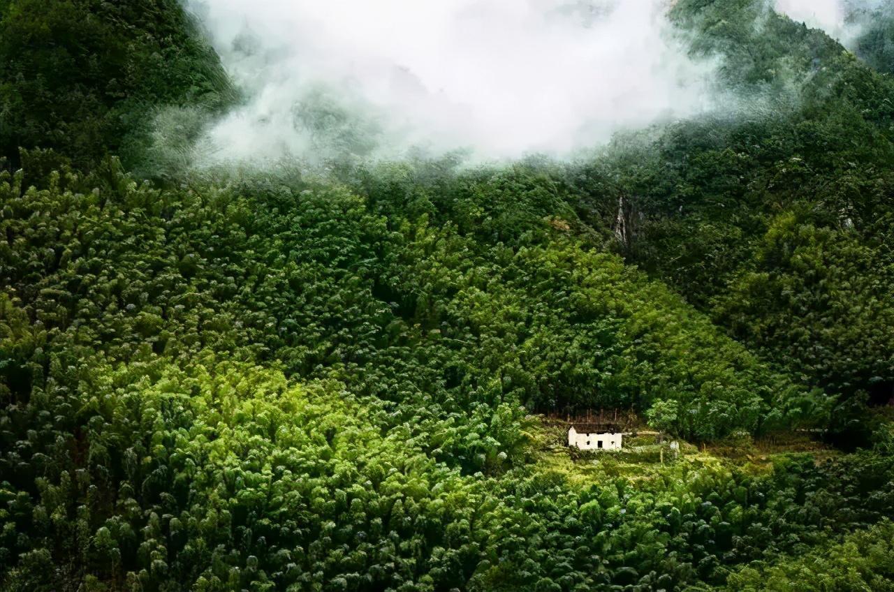 每天1分钟对武夷岩茶多1点了解,什么是岩茶