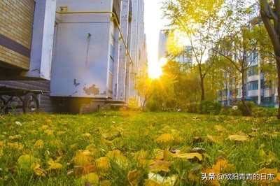 一手房和二手房有什么区别利弊,一手房和二手房对比话术