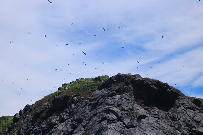 汕头南澳岛旅游住宿攻略,潮州南澳岛三日旅游攻略