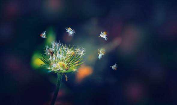 社群运营活跃粉丝的方法和技巧,社群运营第一步引流