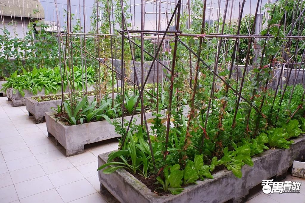 在广州番禺区居住怎么样,住在番禺的人的感受