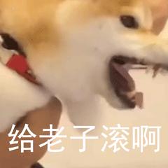 同学生活中搞笑的段子,同学录幽默搞笑段子