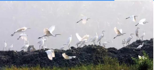 海南三亚后海旅游自由行攻略,去三亚后海村攻略