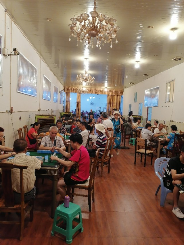 扫街日记100篇,扫街日记视频