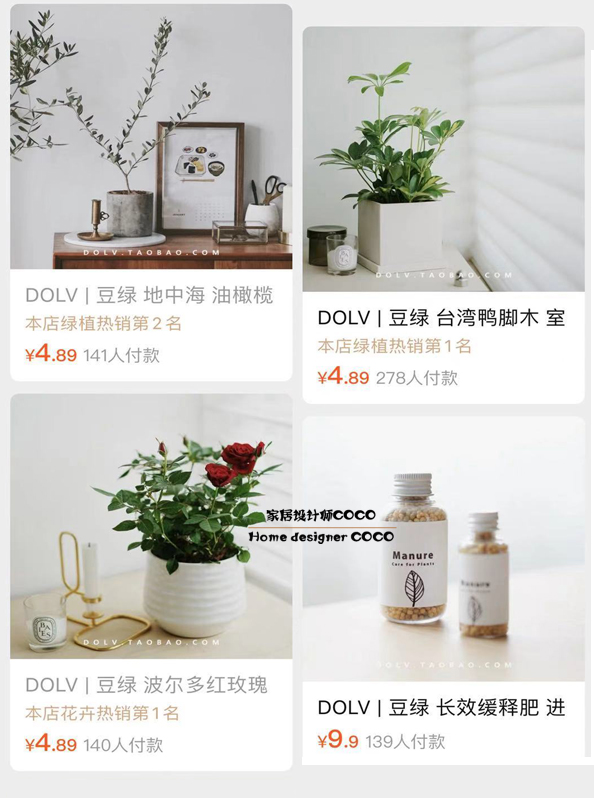 极简风格绿植店铺推荐,适合在卧室养的植物店铺