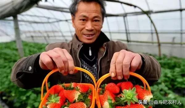 7个创业项目低成本高利润生意,高利润小投入创业项目有哪些