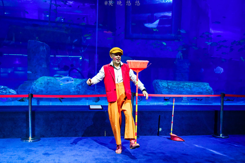 海洋极地海洋世界攻略,正佳极地海洋世界白鲸海象