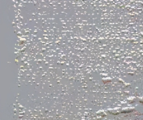 回南天腻子粉施工注意事项,回南天过后墙上腻子发霉怎么处理