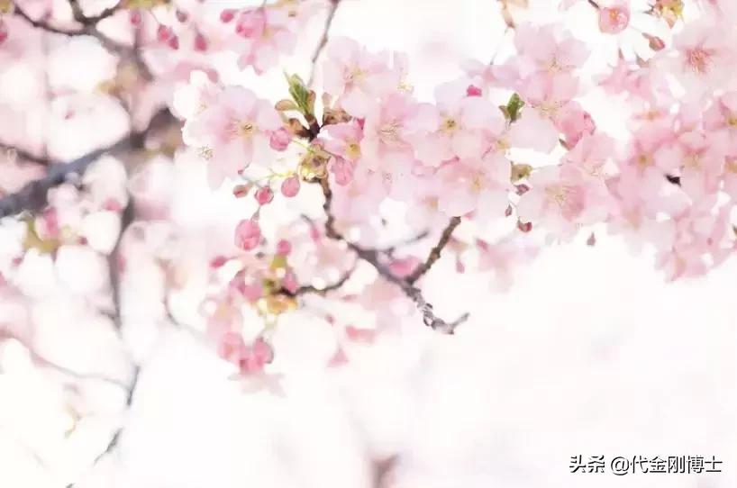 春分时斗柄指哪方向,春分巽风冲榜攻略