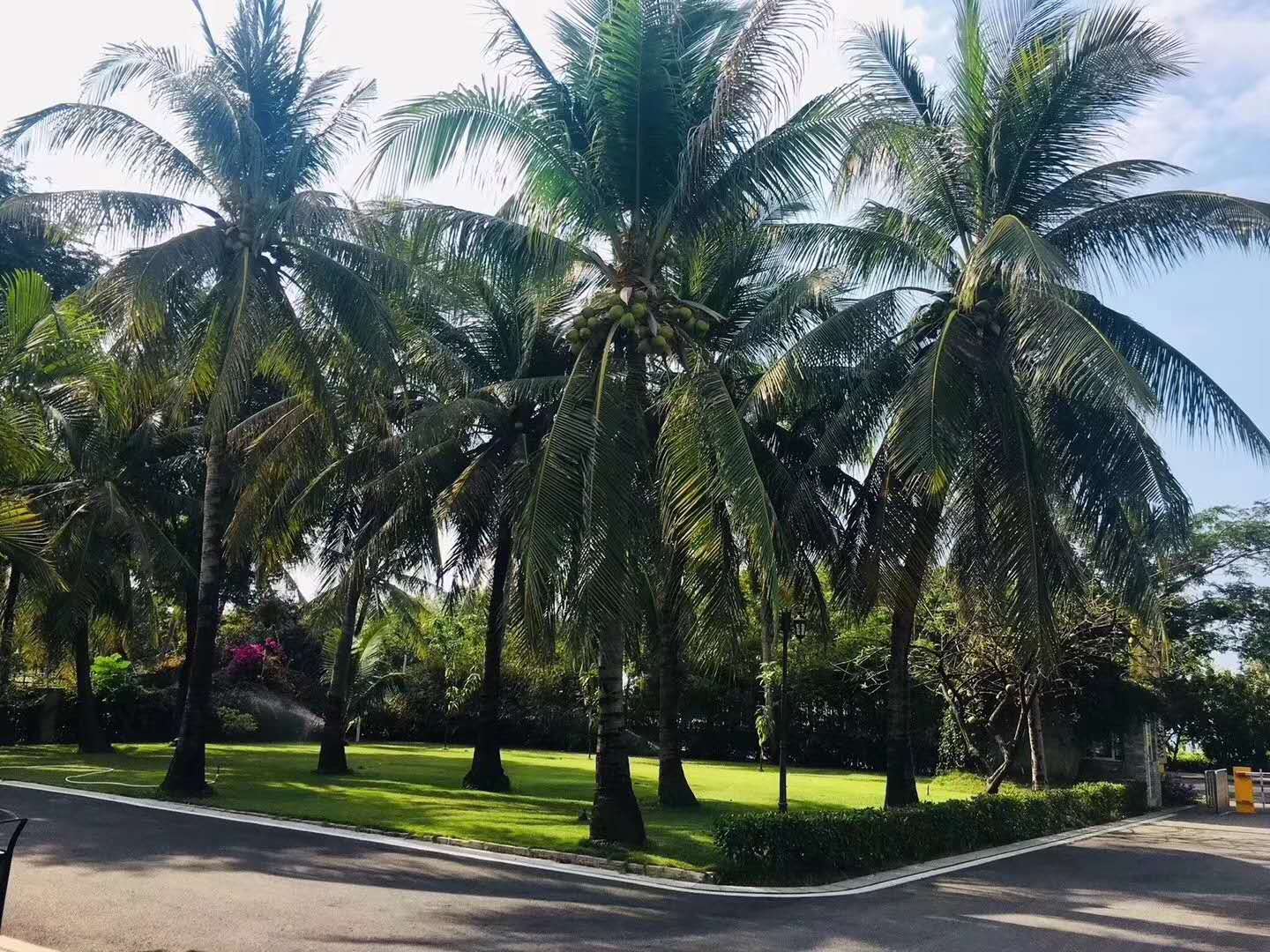 高中英语词汇3500词多久能背完,高中英语词汇3500词朗读音频