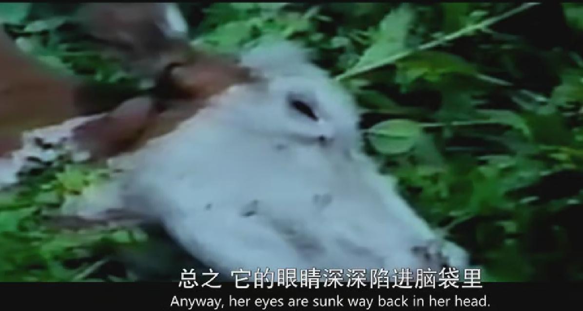 奥斯卡经典电影推荐必看的有哪些,推荐几部值得一看的奥斯卡电影