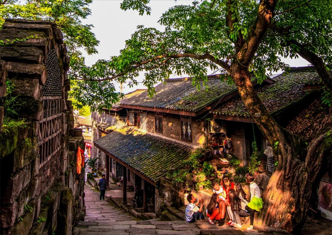 九龙坡走马古镇农家乐,九龙坡走马古镇的民宿