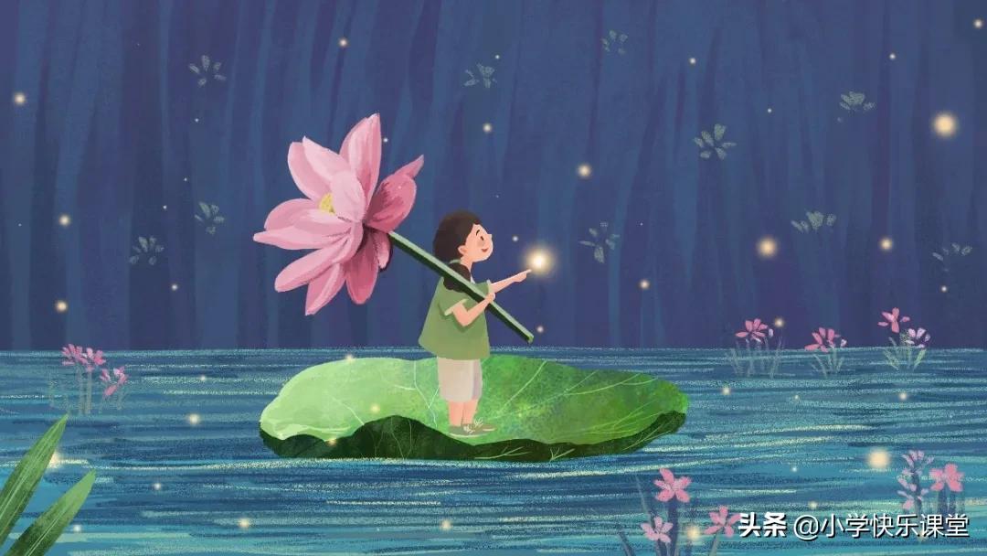 描写荷花的作文300字三年级的,摘抄课文荷花的好词好句