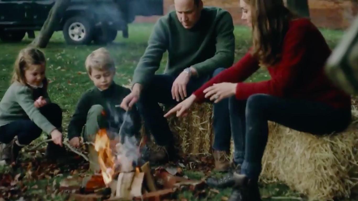 威廉凯特三小只,威廉凯特继续履行王室职责