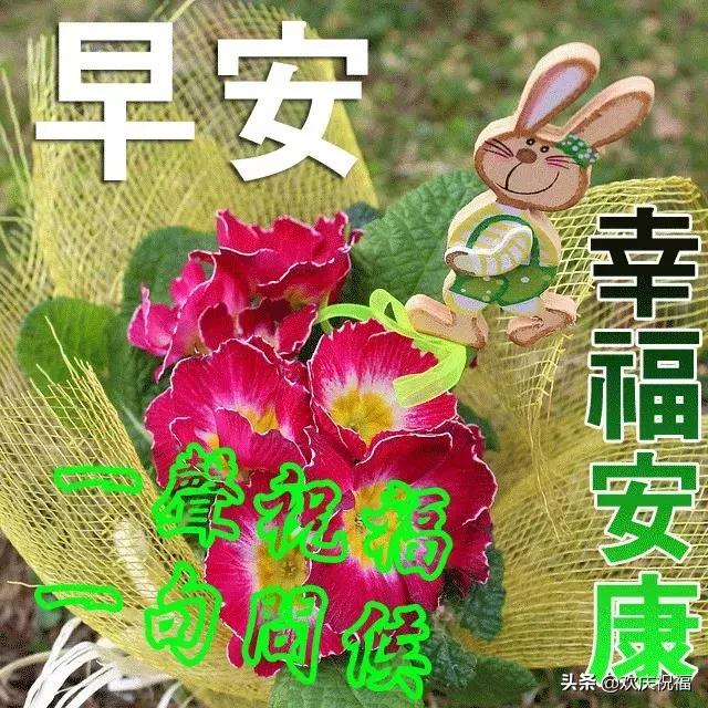 最暖心的早安祝福语图片大全,最美早安问候祝福语动态漂亮图片