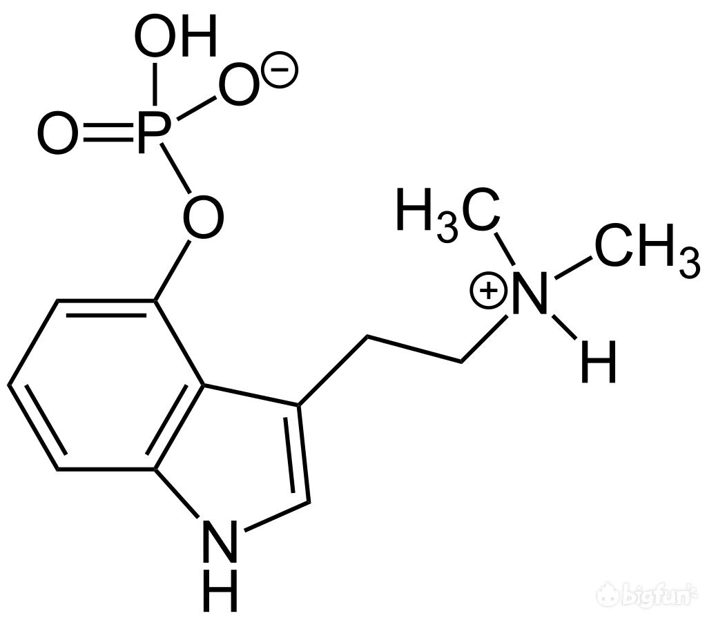 明日方舟灰蕈迷境隐藏结局,明日方舟灰蕈谜境商人