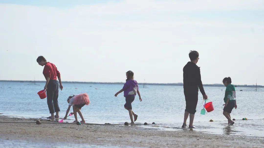 河北唐山海岛旅游攻略,唐山海岛