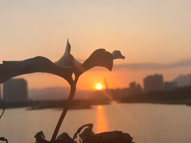 手拍世界,手拍世界近期作品