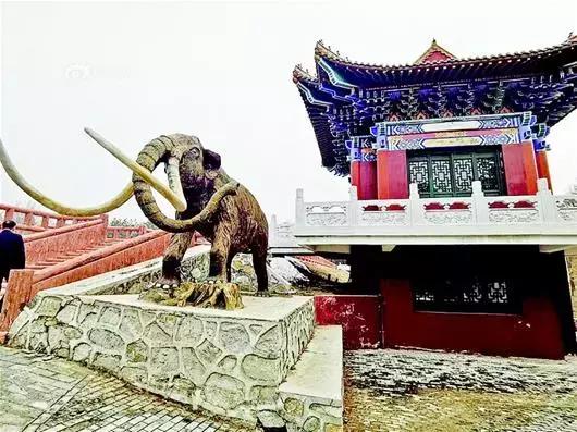 国有林场现在的情况,国有林场发展方向与展望