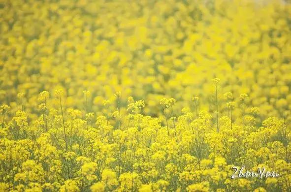 随便选个地方旅游,西安周边海边游玩景点推荐