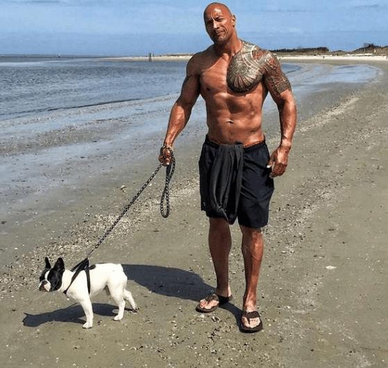 末日崩塌强森女儿,强森的女儿完整版