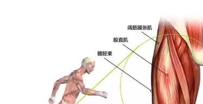 运动拉伤大腿内侧怎么处理,运动员股二头肌拉伤怎么恢复