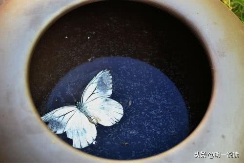 初婚女和二婚男结婚的感受,初婚和未婚的女人有什么区别