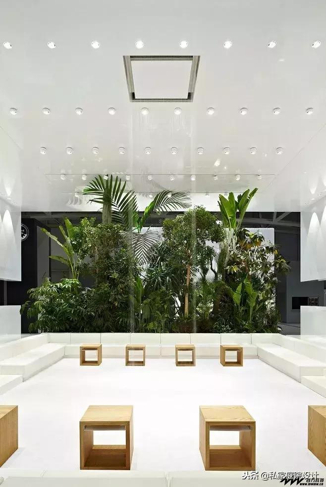 室内景观打造设计案例,做室内景观造景设计效果图