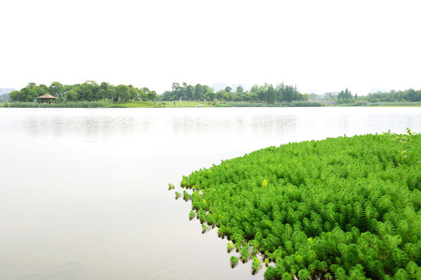 南昌动物园哪里有大象,南昌大象公园