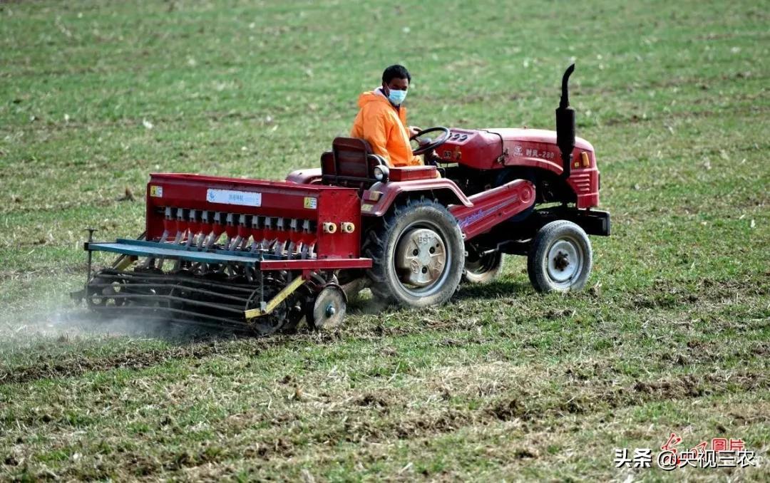抓防疫保春耕两不误,促融合防疫春耕两不误
