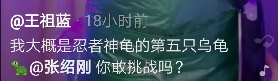 王祖蓝模仿tfboys,王祖蓝和王俊凯