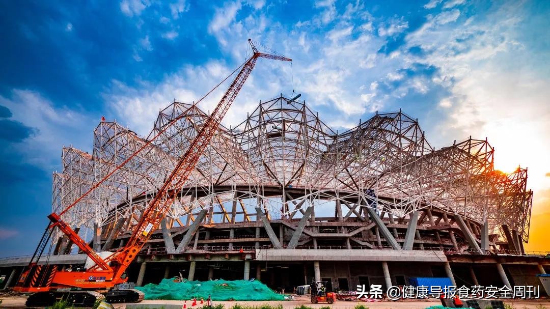 西安世园会石榴花,西安石榴花