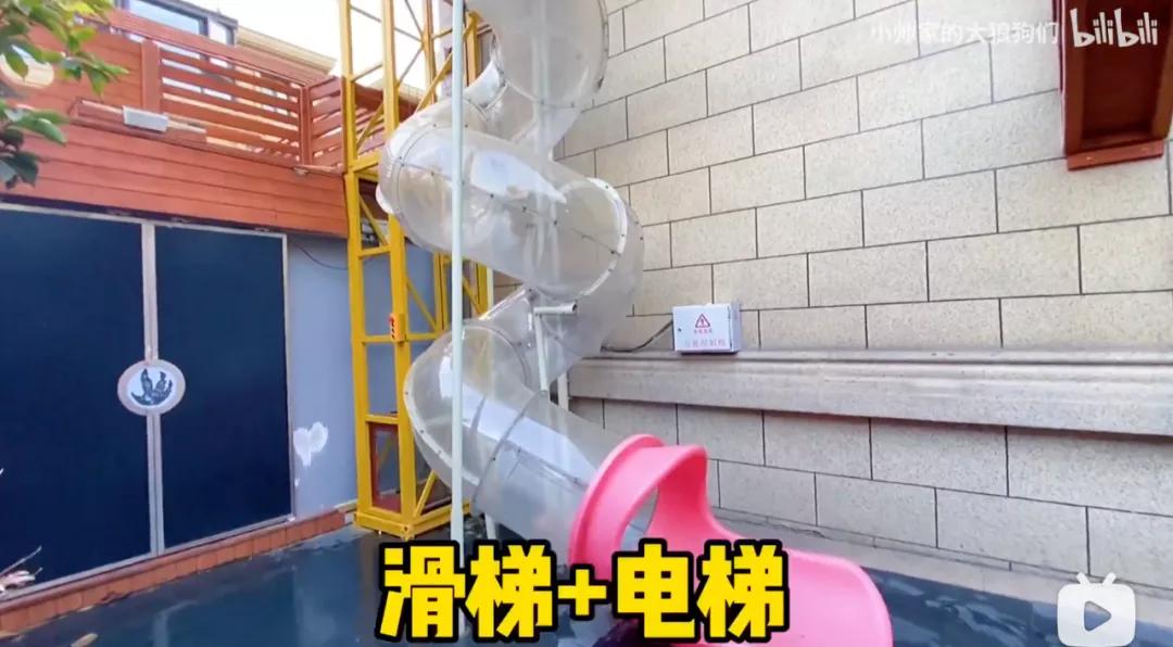 花三年建宠物乐园,花20万给狗打造乐园