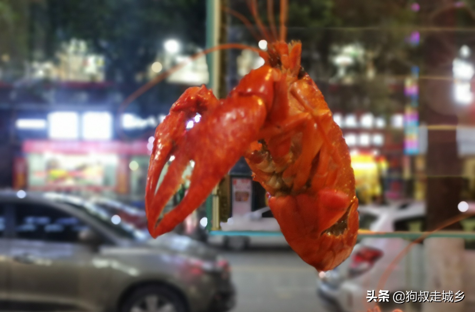 四川南充：这家网红霸王虾，让狗叔“丢人现眼”啊！