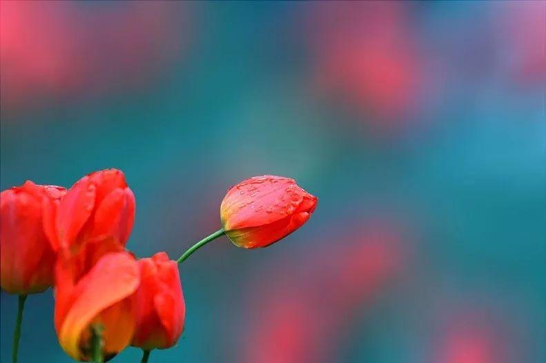 已婚男生把你当备胎的几个特征,男人有三种行为是给你当备胎而已