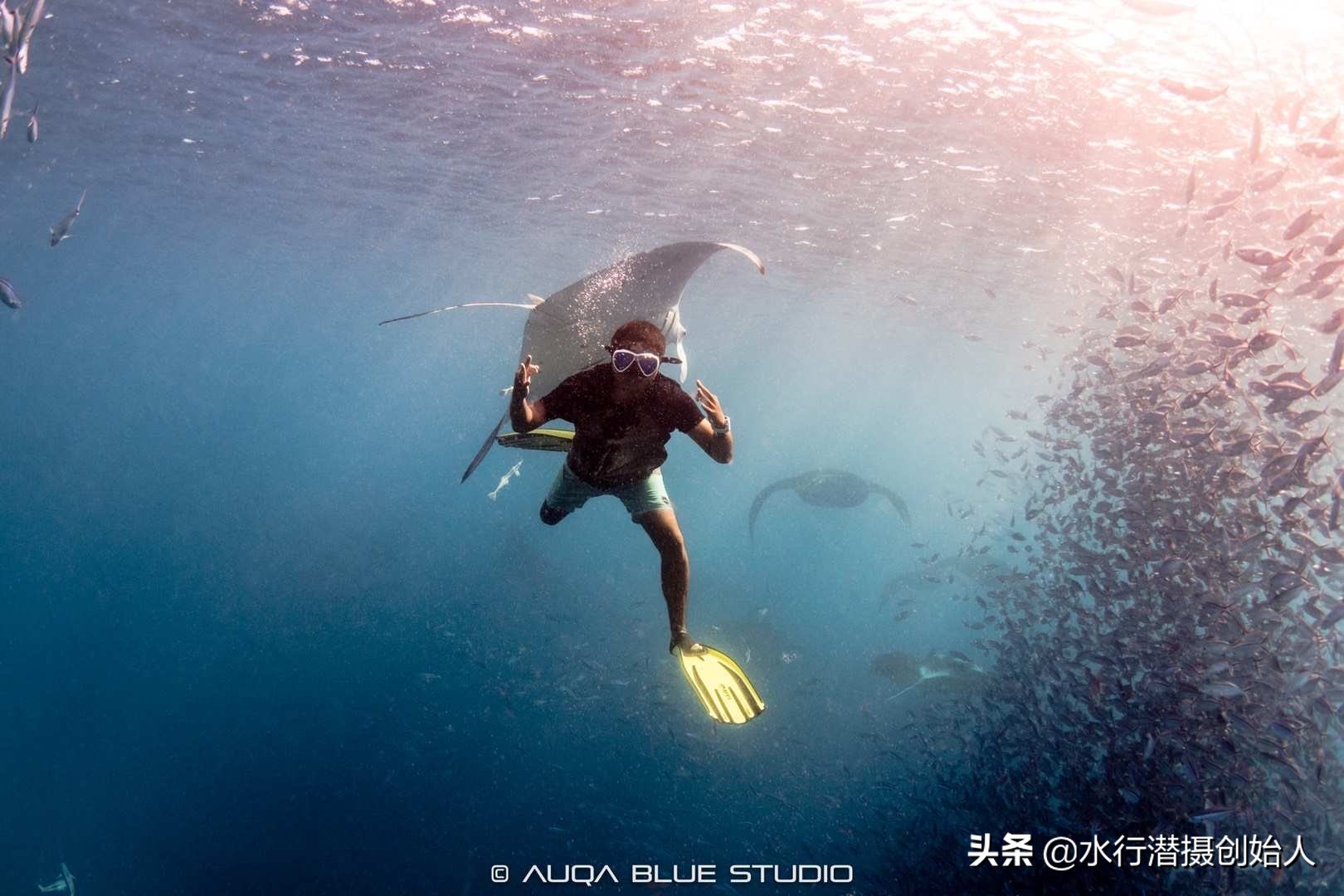 帕劳岛自由行潜水,帕劳水母湖自由潜视频