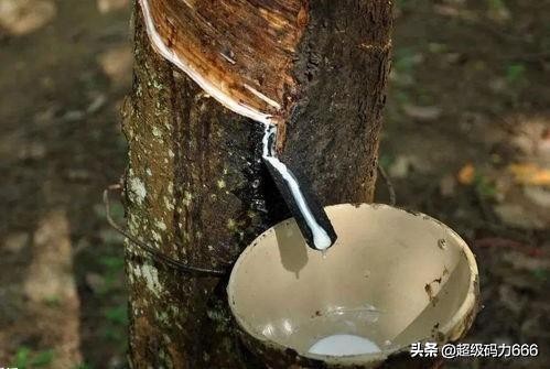 假乳胶枕致癌吗,睡假乳胶枕会头疼么