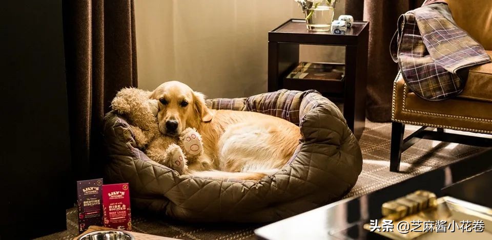 凡尔赛文学其实无处不在,凡尔赛文化盛行