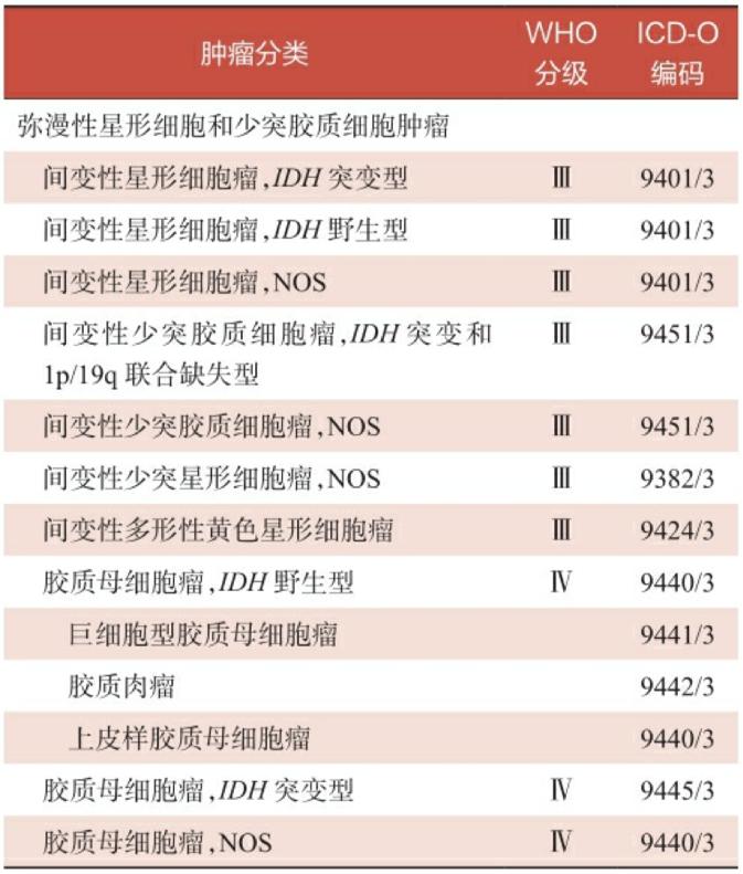 高级别脑胶质瘤的治疗,最新指南怎么说?