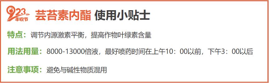 草莓不肥怎么办,草莓不旺长怎么办